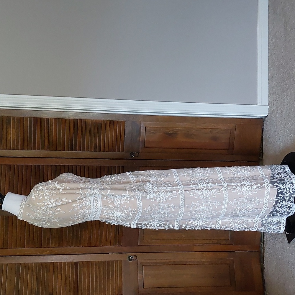 Veiled Collection Cream and White Embroidered Maxi Dress Sz XS - Picture 5 of 17